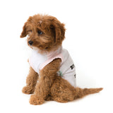 FuzzYard Milkshake t-shirt for dogs