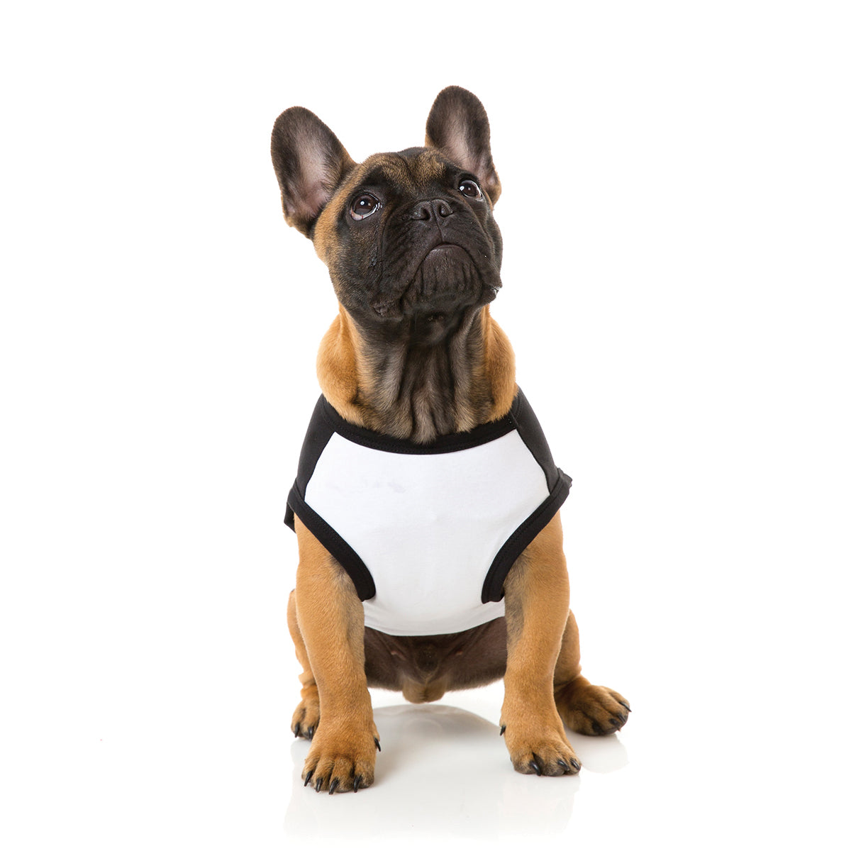 FuzzYard Game of Bones Dog T-shirt