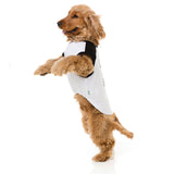 FuzzYard Game of Bones Dog T-shirt