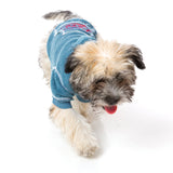 FuzzYard Love hoodie for dogs