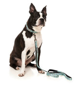 Dreamtime Koala - Dog Lead by FuzzYard