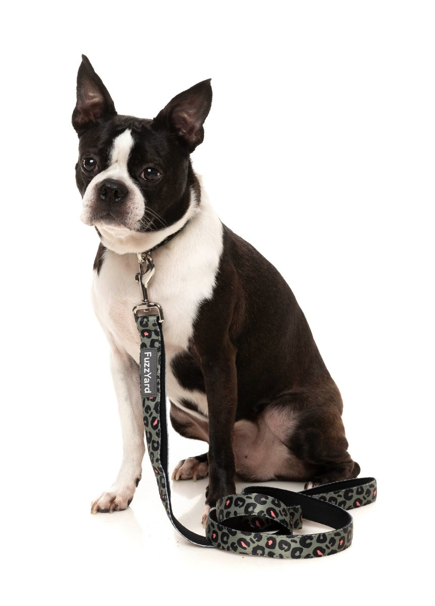 Savanna - Dog Lead by FuzzYard