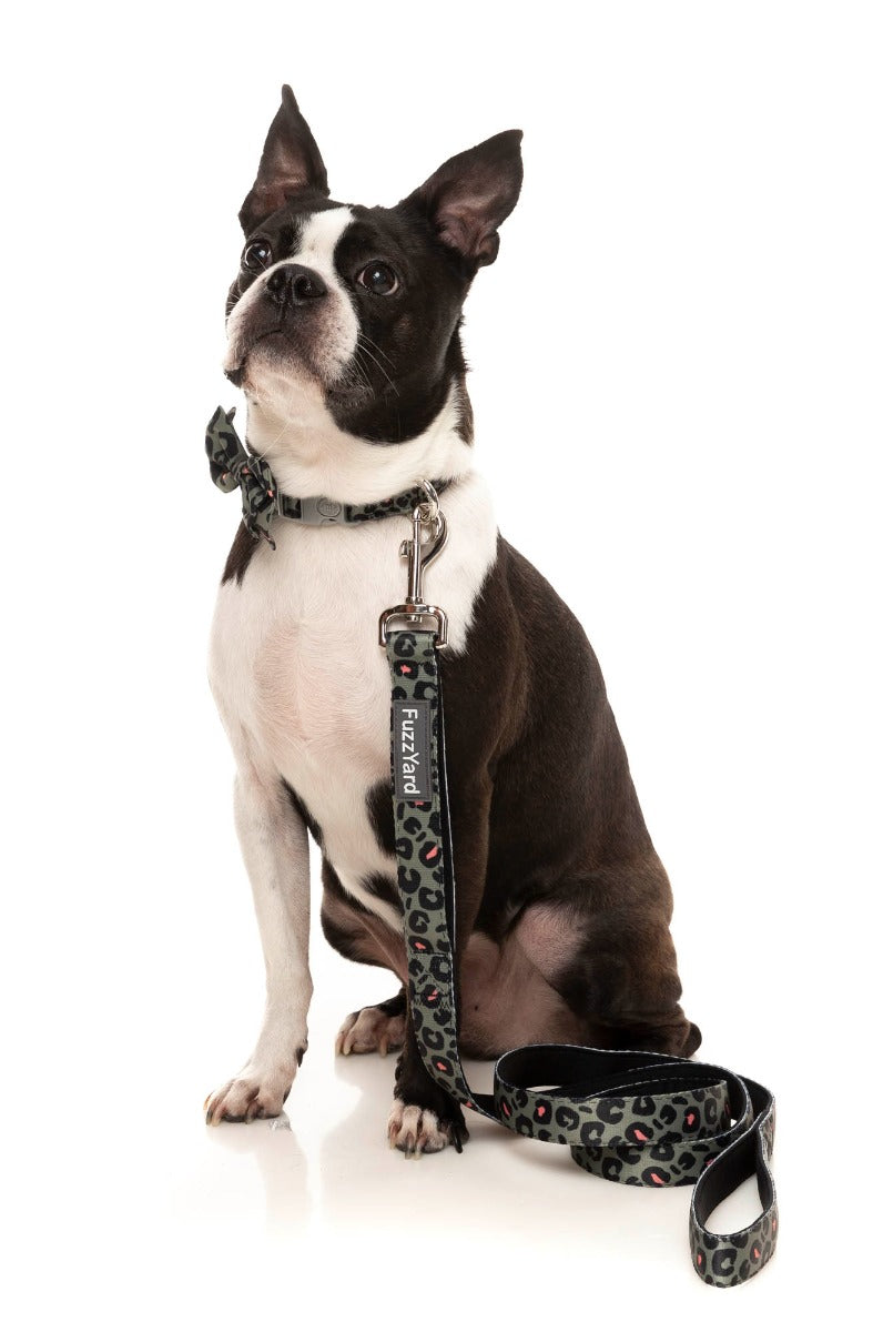 Savanna - Dog Lead by FuzzYard