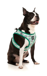 Dreamtime Koala - Step In Harness by FuzzYard