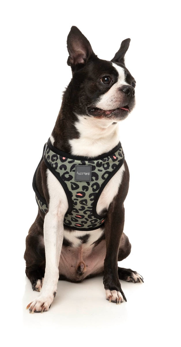 Savanna - Step In Harness by FuzzYard