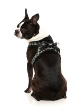 Savanna - Step In Harness by FuzzYard