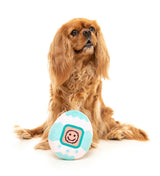 Tamadogchi - Dog Toy by FuzzYard