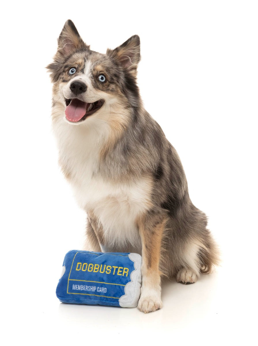 Dogbuster Card - Dog Toy by FuzzYard