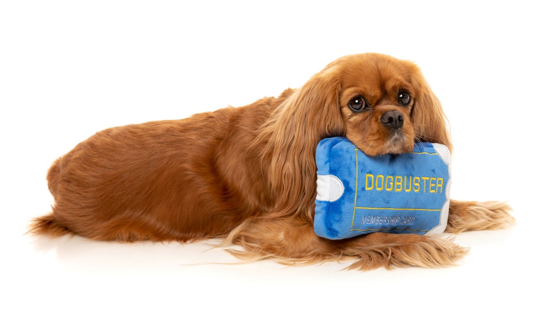 Dogbuster Card - Dog Toy by FuzzYard
