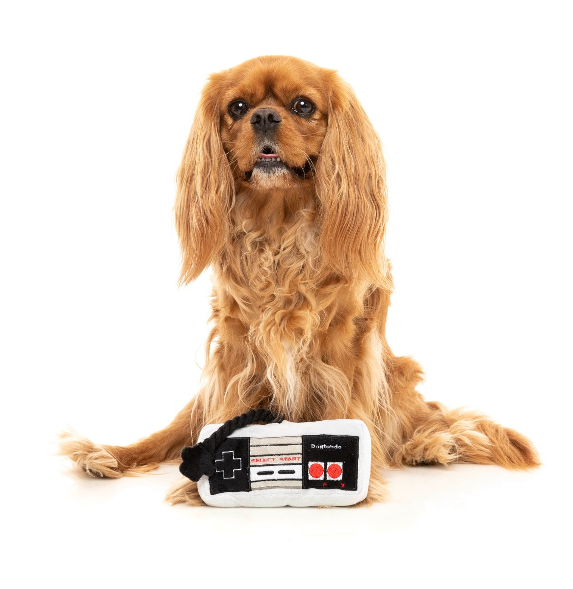 Dogtendo Controller - Dog Toy by FuzzYard
