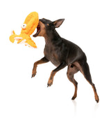 Dog Toy Flat Out Nasties - Sir Legs A Lot the Octopus by FuzzYard