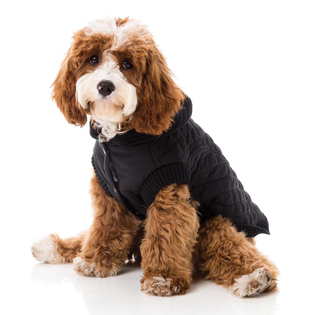 FuzzYard Jersey Knit with hood for dogs in black