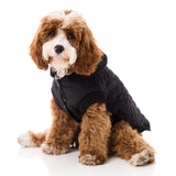 FuzzYard Jersey Knit with hood for dogs in black