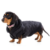 FuzzYard Jersey Knit with hood for dogs in black