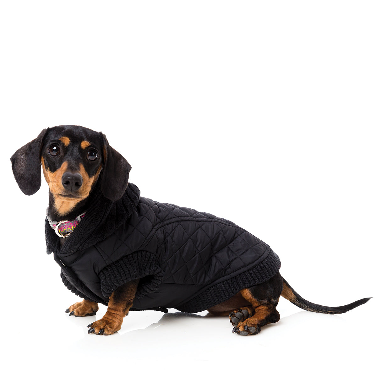 FuzzYard Jersey Knit with hood for dogs in black