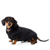 FuzzYard Jersey Knit with hood for dogs in black