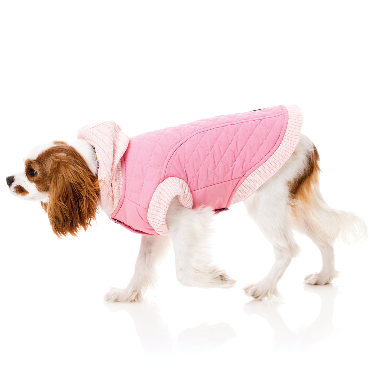 FuzzYard Jersey Knit for dogs in pink with hood