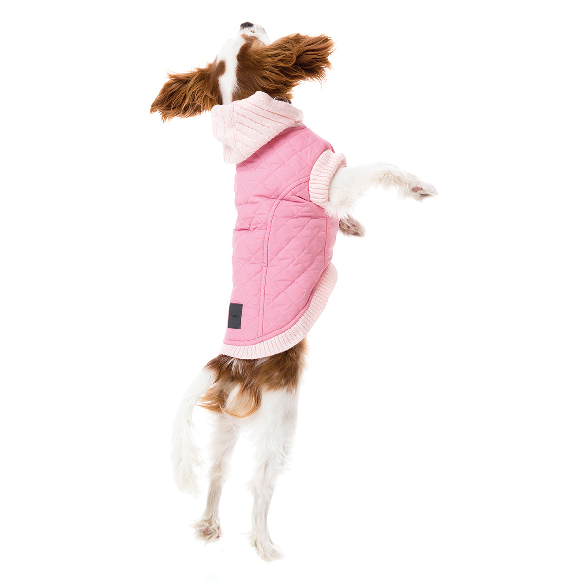 FuzzYard Jersey Knit for dogs in pink with hood