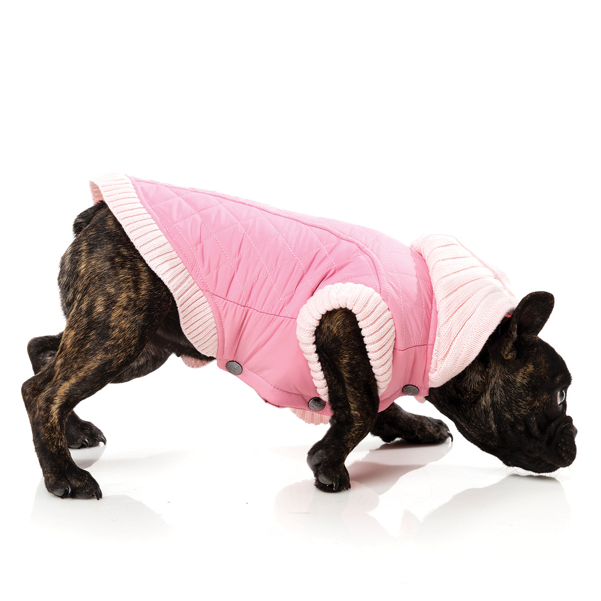 FuzzYard Jersey Knit for dogs in pink with hood
