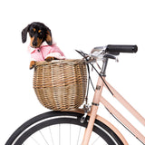 FuzzYard Jersey Knit for dogs in pink with hood