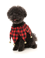 Jester Collar - Christmas Pet Accessory by FuzzYard