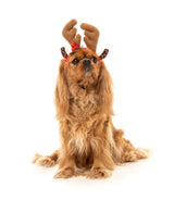 Reindeer Antlers - Christmas Pet Accessory by FuzzYard