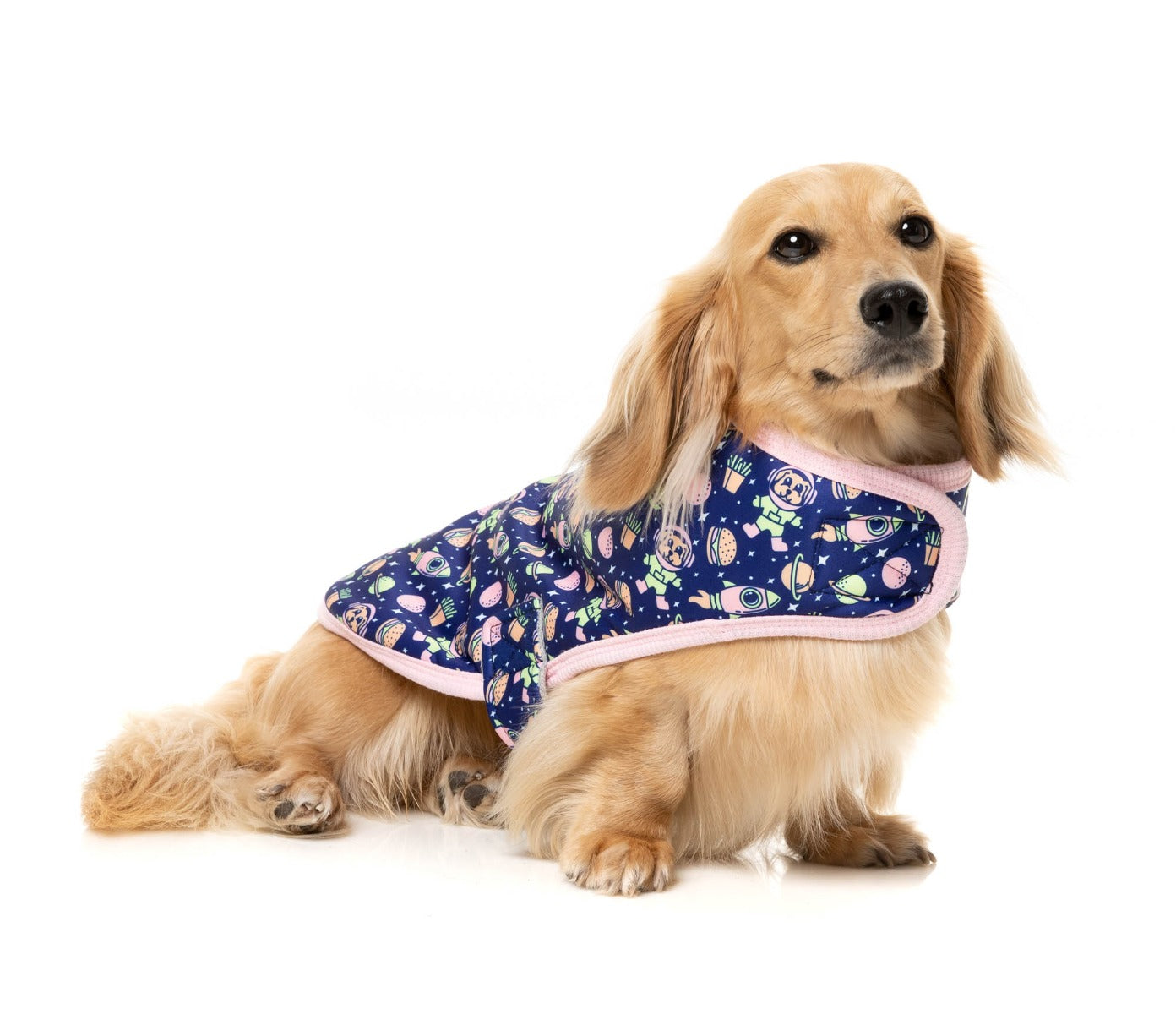 Pluto Pup -  Pet Wrap Vest by FuzzYard