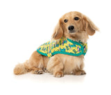 Sk8ter Gator -  Pet Wrap Vest by FuzzYard