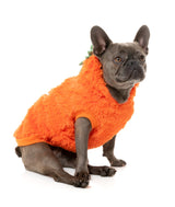 Pumpkin Head - Fluffy Hoodie Costume by FuzzYard