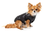 Chihuahua wearing East Harlem Dog Puffer Jacket