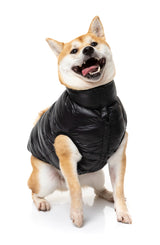 Shiba wearing East Harlem Dog Puffer Jacket