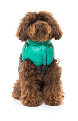 Cavoodle wearingGreen East Harlem Dog Puffer Jacket