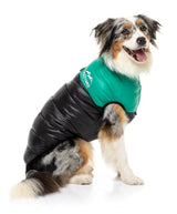 Collie wearing Green East Harlem Dog Puffer Jacket
