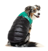 Shepherd Green East Harlem Dog Puffer Jacket