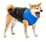 Shiba Wearing Blue East Harlem Dog Puffer Jacket