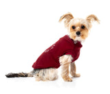 small dog wearing The FY Sweater in Maroon by FuzzYard