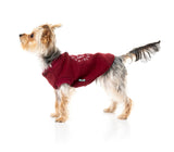 small dog wearing The FY Sweater in Maroon by FuzzYard