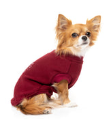 small dog wearing The FY Sweater in Maroon by FuzzYard