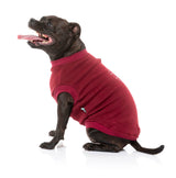 medium dog wearing The FY Sweater in Maroon by FuzzYard