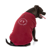 medium dog wearing The FY Sweater in Maroon by FuzzYard