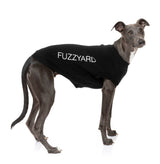 cute dog wearing The Hero Sweater in Black by FuzzYard