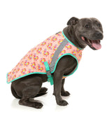 Two-Cans -  Pet Cooling Vest by FuzzYard. Keep your pet COOL & COMFY with FuzzYard's Cooling Vest!