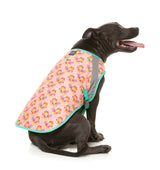 Two-Cans -  Pet Cooling Vest by FuzzYard. Keep your pet COOL & COMFY with FuzzYard's Cooling Vest!