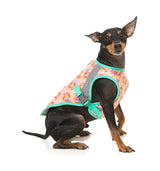 Two-Cans -  Pet Cooling Vest by FuzzYard. Keep your pet COOL & COMFY with FuzzYard's Cooling Vest!