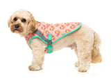 Two-Cans -  Pet Cooling Vest by FuzzYard. Keep your pet COOL & COMFY with FuzzYard's Cooling Vest!
