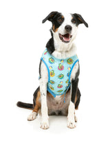 Avo Great Day -  Cooling Dog Vest by FuzzYard. Keep your pet COOL & COMFY with FuzzYard's Cooling Vest!