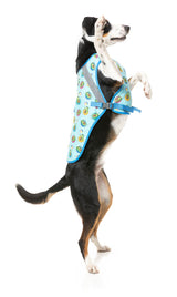 Avo Great Day -  Cooling Dog Vest by FuzzYard. Keep your pet COOL & COMFY with FuzzYard's Cooling Vest!