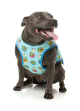 Avo Great Day -  Cooling Dog Vest by FuzzYard. Keep your pet COOL & COMFY with FuzzYard's Cooling Vest!