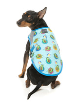 Avo Great Day -  Cooling Dog Vest by FuzzYard. Keep your pet COOL & COMFY with FuzzYard's Cooling Vest!