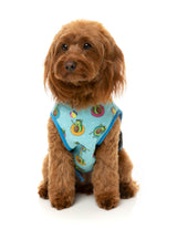 Avo Great Day -  Cooling Dog Vest by FuzzYard. Keep your pet COOL & COMFY with FuzzYard's Cooling Vest!